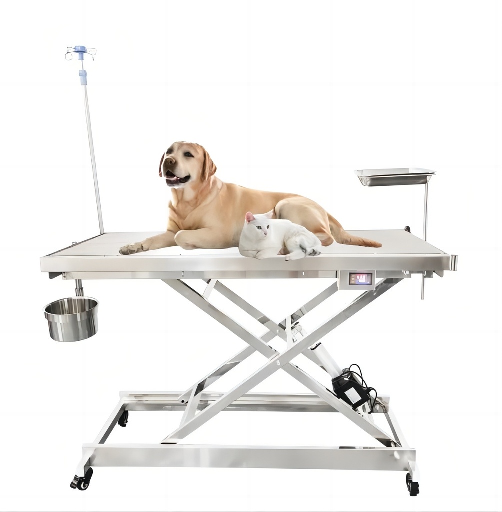 Veterinary Surgical Table with Consult Temperature