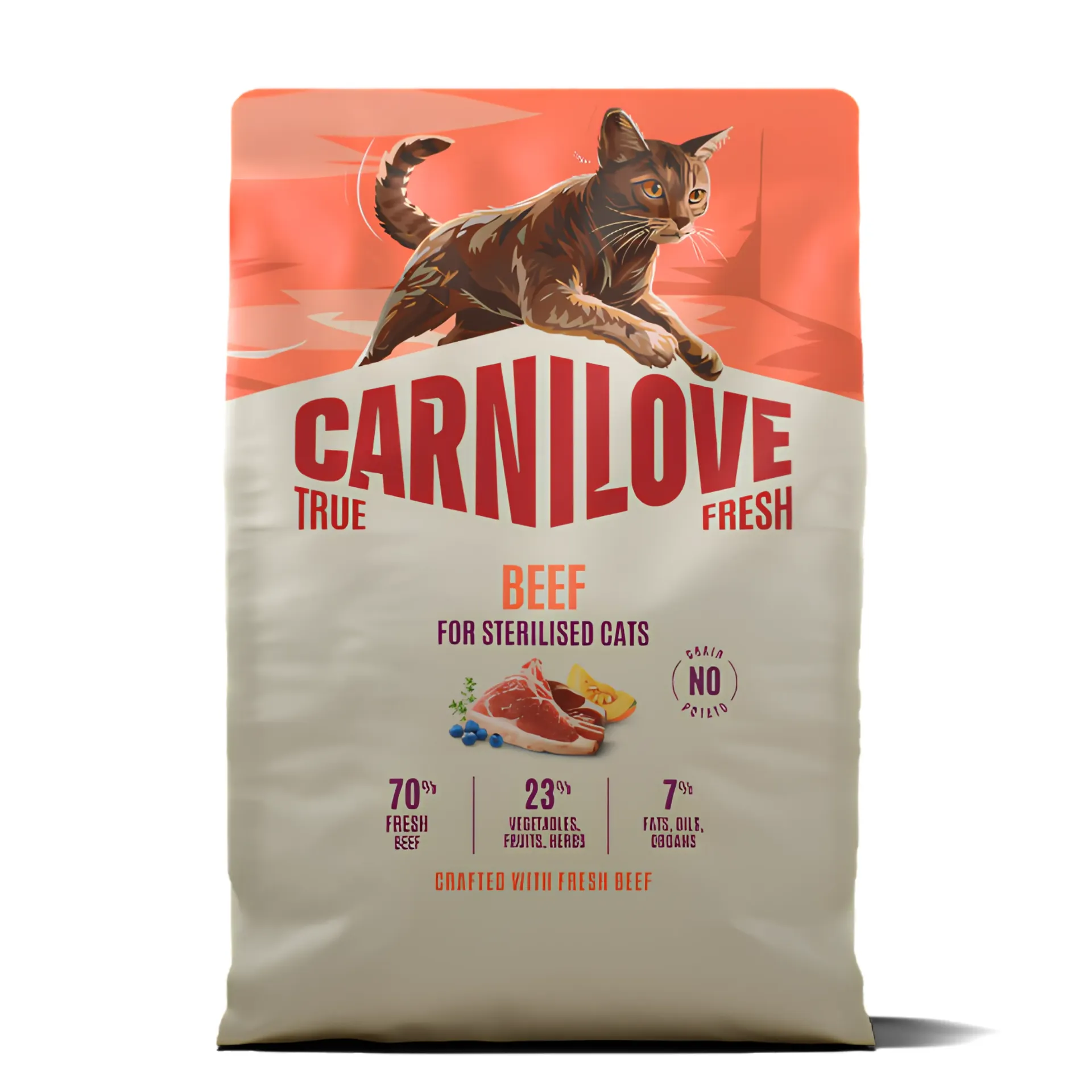 CARNILOVE TRUE FRESH Cat Dry Beef for Adult Cats 6KG