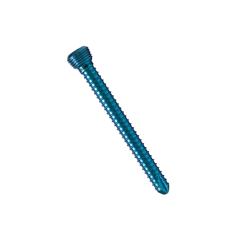 Titanuim Hexagonal Screw Length 6.0mm