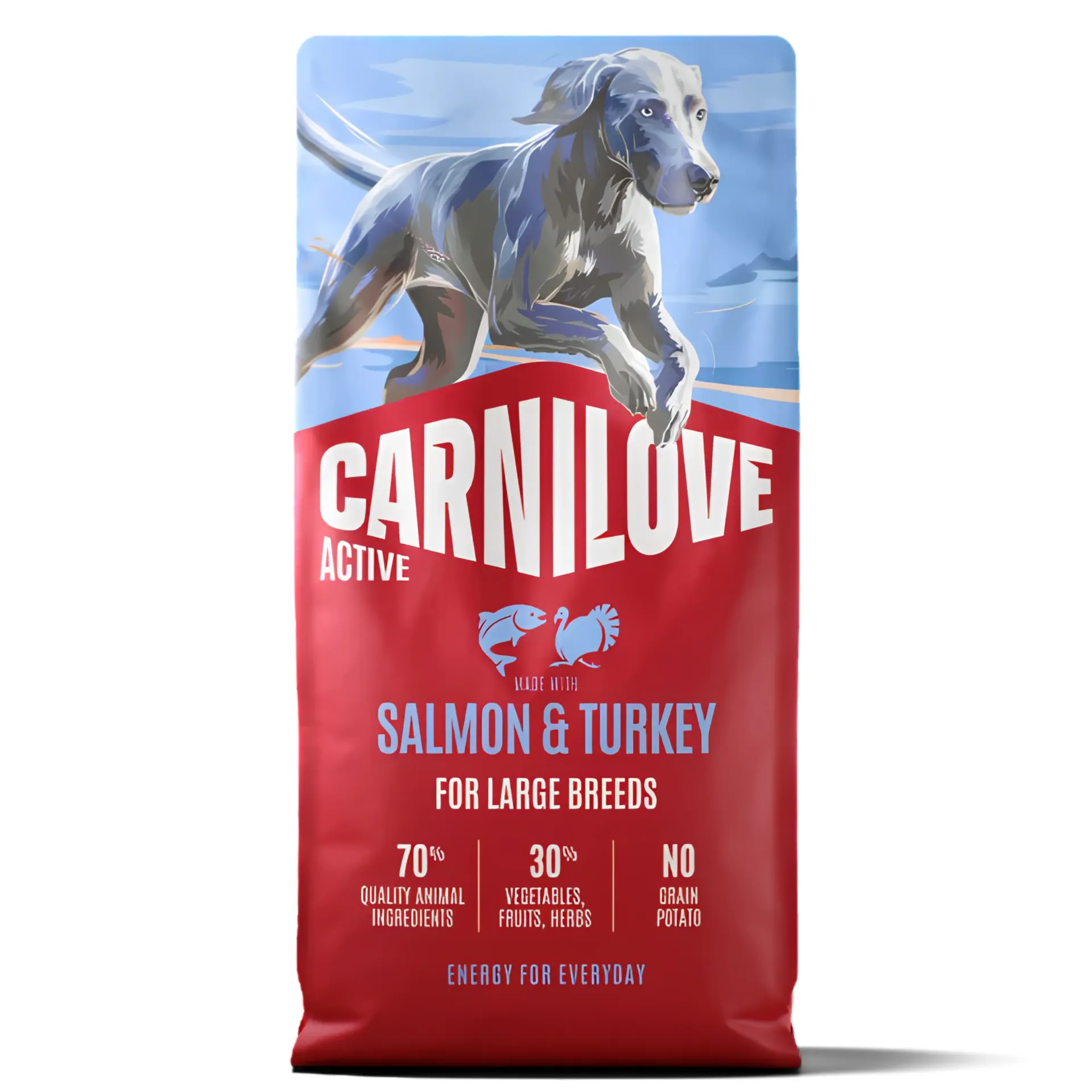 CARNILOVE ACTIVE Dog Dry Made with Salmon & Turkey for Adult Dogs 4KG
