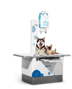 [100458] Beatle-06P1 Vet-T, Digital Radiography System Browiner