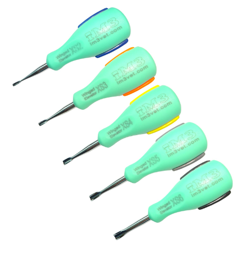 [100311] iM3 Ergo Straight Elevator Set - 5 Piece