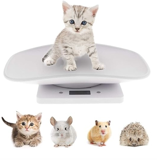 [100673] Small Animal Scale