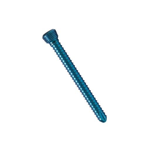 [100559] Titanuim Hexagonal Screw Length 6.0mm