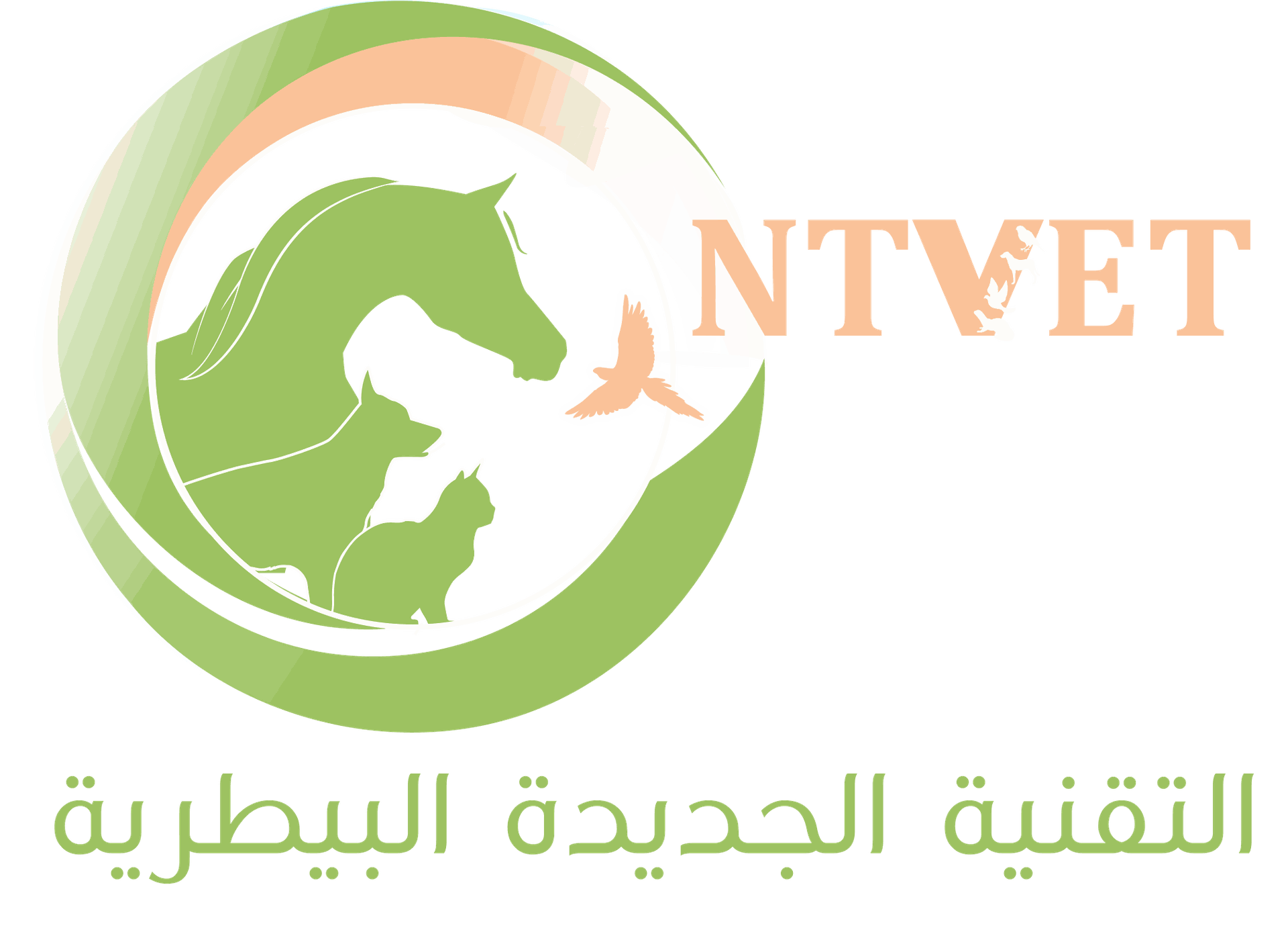 social@ntvet.sa